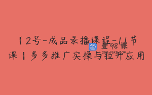 【2号-成品录播课程-11节课】多多推广实操与拉升应用