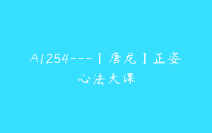 A1254—【唐龙】正姿心法大课