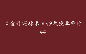 《金丹巡脉术》49天授业带修44
