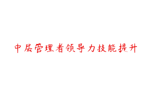中层管理者领导力技能提升