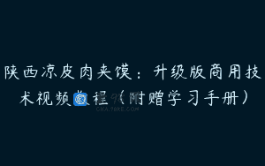 陕西凉皮肉夹馍：升级版商用技术视频教程（附赠学习手册）