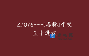 Z1076---[海豚]炸裂正手进攻