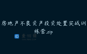 房地产不良资产投资处置实战训练营.zip