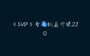 《SVIP》专属权益升级220