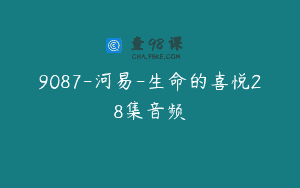 9087-河易-生命的喜悦28集音频