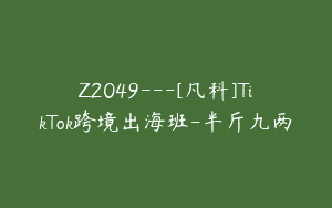 Z2049—[凡科]TikTok跨境出海班-半斤九两