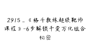 2915_《格斗教练超级靶师课程》-6步解锁千变万化组合秘密