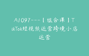 A1097—【组合课】TikTok短视频运营跨境小店运营