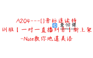 A204—[]音标连读特训班【一对一直播纠音】新上架-Nate教你地道美语