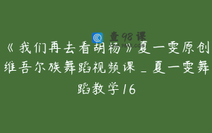 《我们再去看胡杨》夏一雯原创维吾尔族舞蹈视频课_夏一雯舞蹈教学16