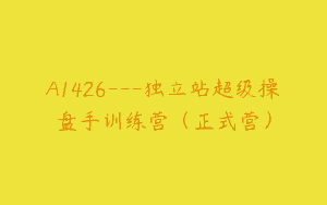 A1426—独立站超级操盘手训练营（正式营）