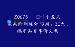 Z0675—[]叶小鱼文案高阶训练营19期：30天，搞定高客单价文案