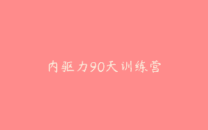 内驱力90天训练营