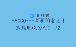 A5000—《我们看见了熊熊燃烧的AI》-12