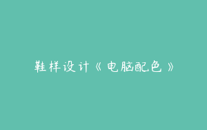 鞋样设计《电脑配色》