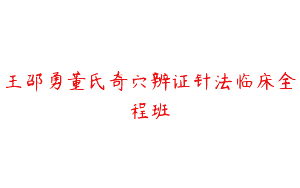 王邵勇董氏奇穴辨证针法临床全程班