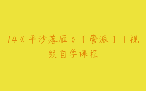 14《平沙落雁》【管派】｜视频自学课程