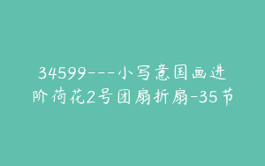 34599---小写意国画进阶荷花2号团扇折扇-35节