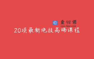 20项最新绝技高端课程