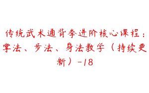 传统武术通背拳进阶核心课程：掌法、步法、身法教学（持续更新）-18