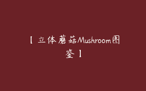 【立体蘑菇Mushroom图鉴】