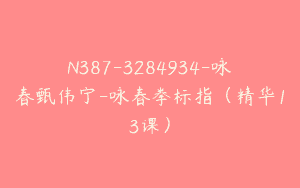 N387-3284934-咏春甄伟宁-咏春拳标指（精华13课）