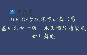 HIPHOP专攻课程街舞（零基础六合一版，永久回放持续更新）舞蹈