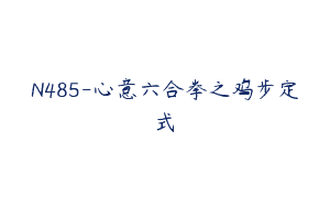 N485-心意六合拳之鸡步定式