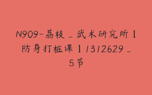 N909-荔枝_武术研究所【防身打桩课】1312629_5节