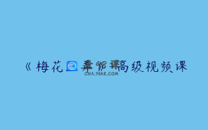 《梅花三弄》-高级视频课