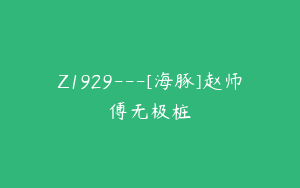 Z1929---[海豚]赵师傅无极桩