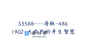 S3588—海豚-4861902-大自然的养生智慧