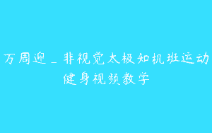 万周迎_非视觉太极知机班运动健身视频教学