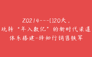 Z0214---[]20天，玩转“年入数亿”的新时代渠道体系搭建-驿知行销售铁军