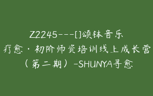 Z2245---[]颂钵音乐疗愈·初阶师资培训线上成长营（第二期）-SHUNYA寻愈