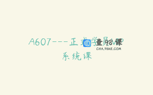 A607—正式学员VIP系统课