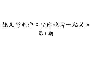魏文彬老师《祛除顽痹一贴灵》第1期