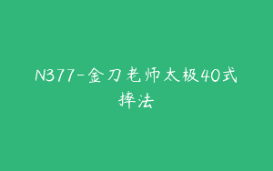 N377-金刀老师太极40式摔法