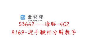 S3662—海豚-4028169-迎手鞭杆分解教学