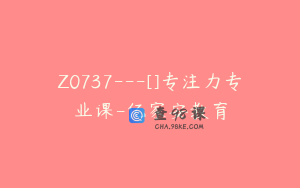 Z0737---[]专注力专业课-亿家安教育