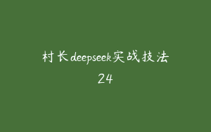 村长deepseek实战技法24
