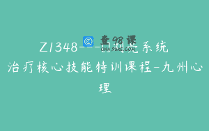 Z1348—[]刘亮系统治疗核心技能特训课程-九州心理