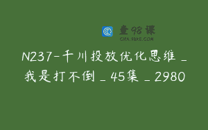N237-千川投放优化思维_我是打不倒_45集_2980