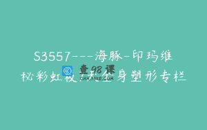 S3557—海豚-印玛维秘彩虹板7天全身塑形专栏