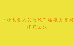 业绩裂变式发售线下爆破营首期课程回放
