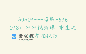 S3503—海豚-6360187-空空视频课-重生之我在拍视频
