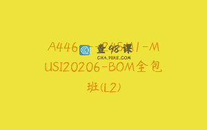 A446—24SM1-MUSI20206-BOM全包班(L2)