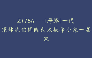 Z1756---[海豚]一代宗师陈伯祥陈氏太极拳小架一层架
