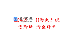 Z0469---[]海桑系统进阶班-海桑课堂