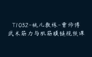 T1032-桃儿教练-曾师傅武术筋力与肌筋膜链视频课